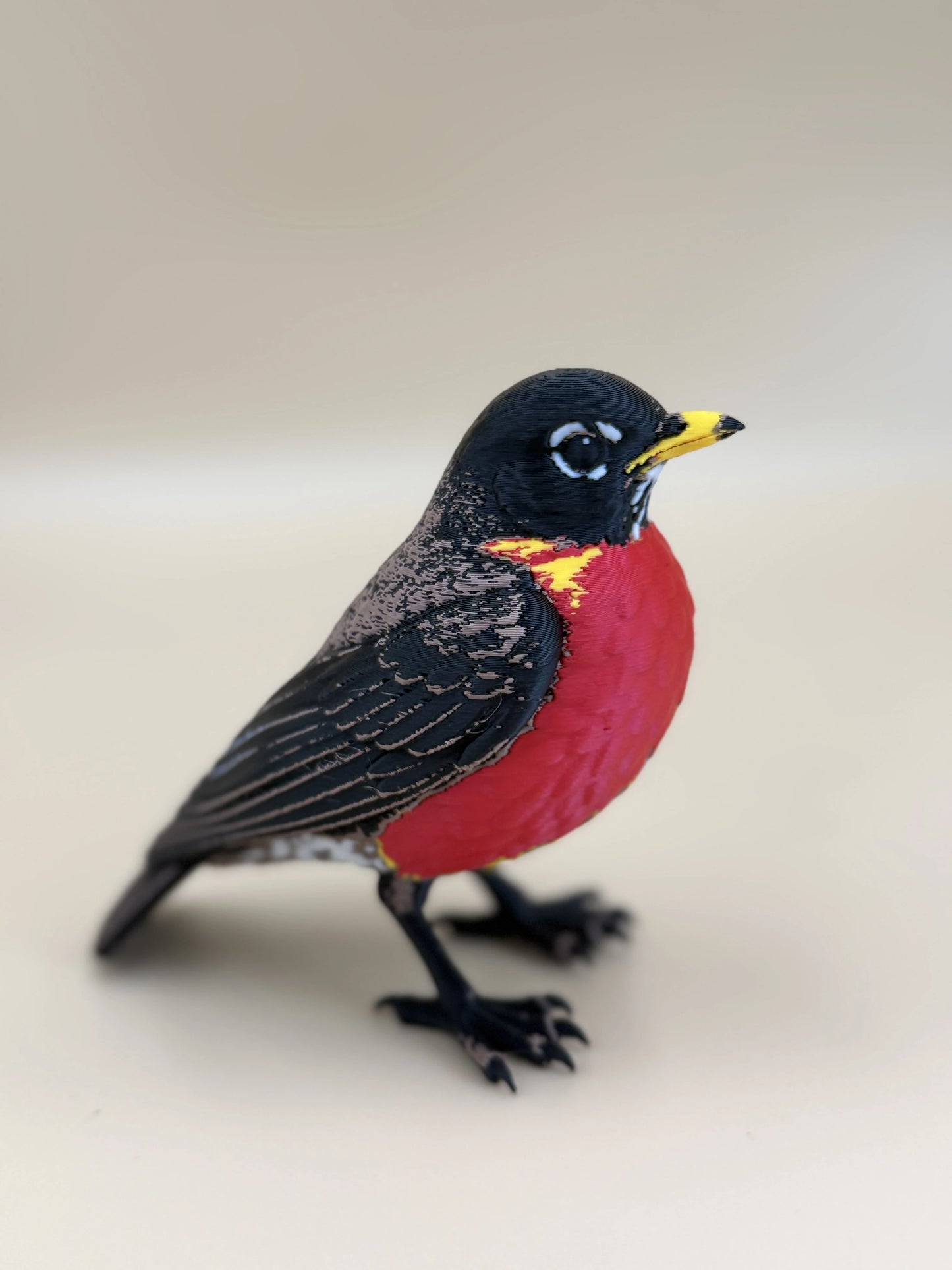 Red Robin – americký drozd