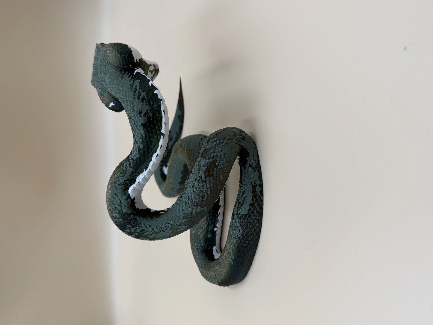 Viper Snake