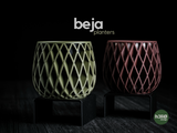 beja • planters