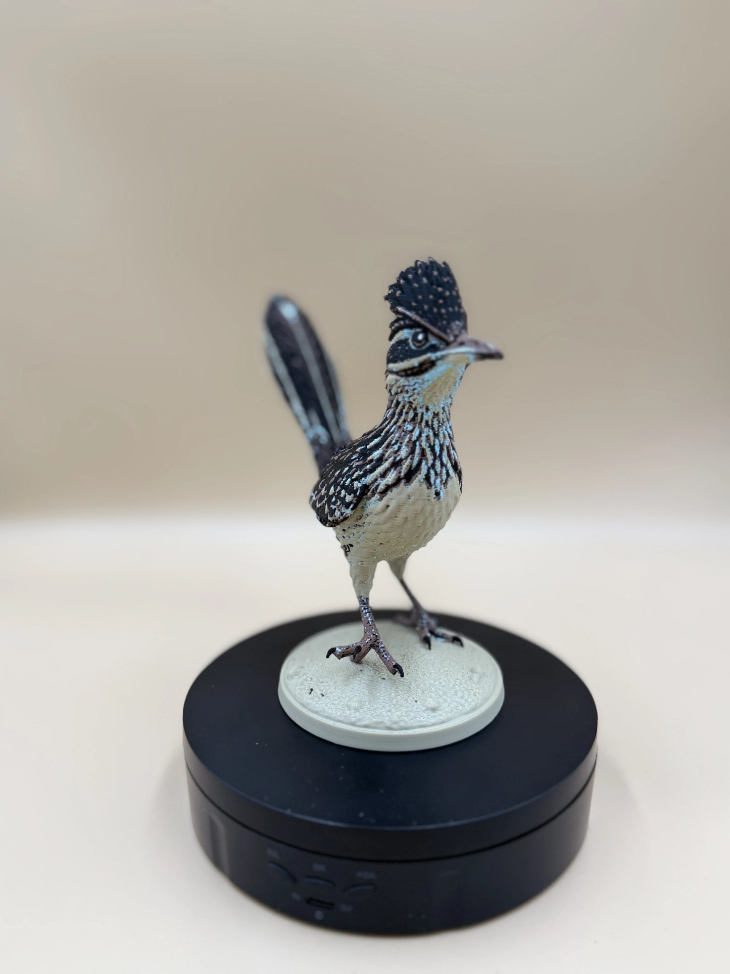 Roadrunner – púštny bežec
