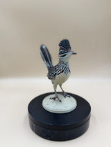 Roadrunner – púštny bežec