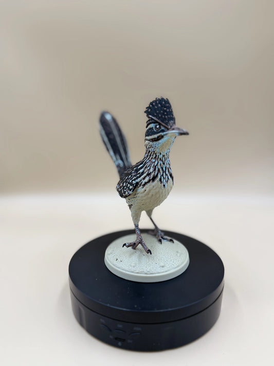 Roadrunner – púštny bežec