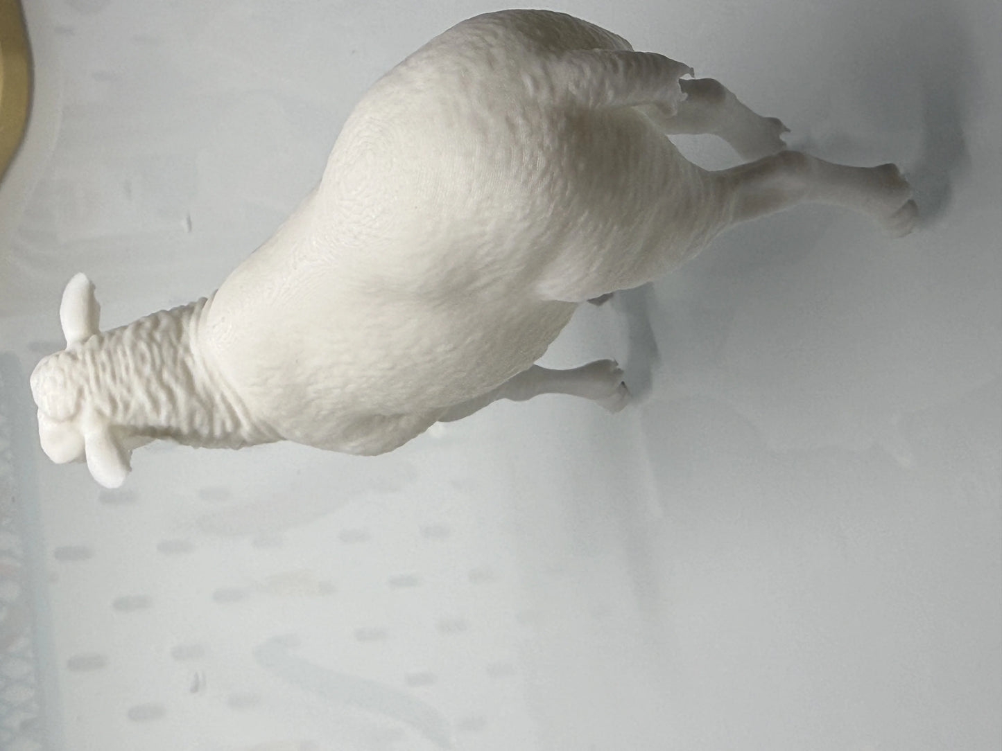 Realistic Adult  Sheep