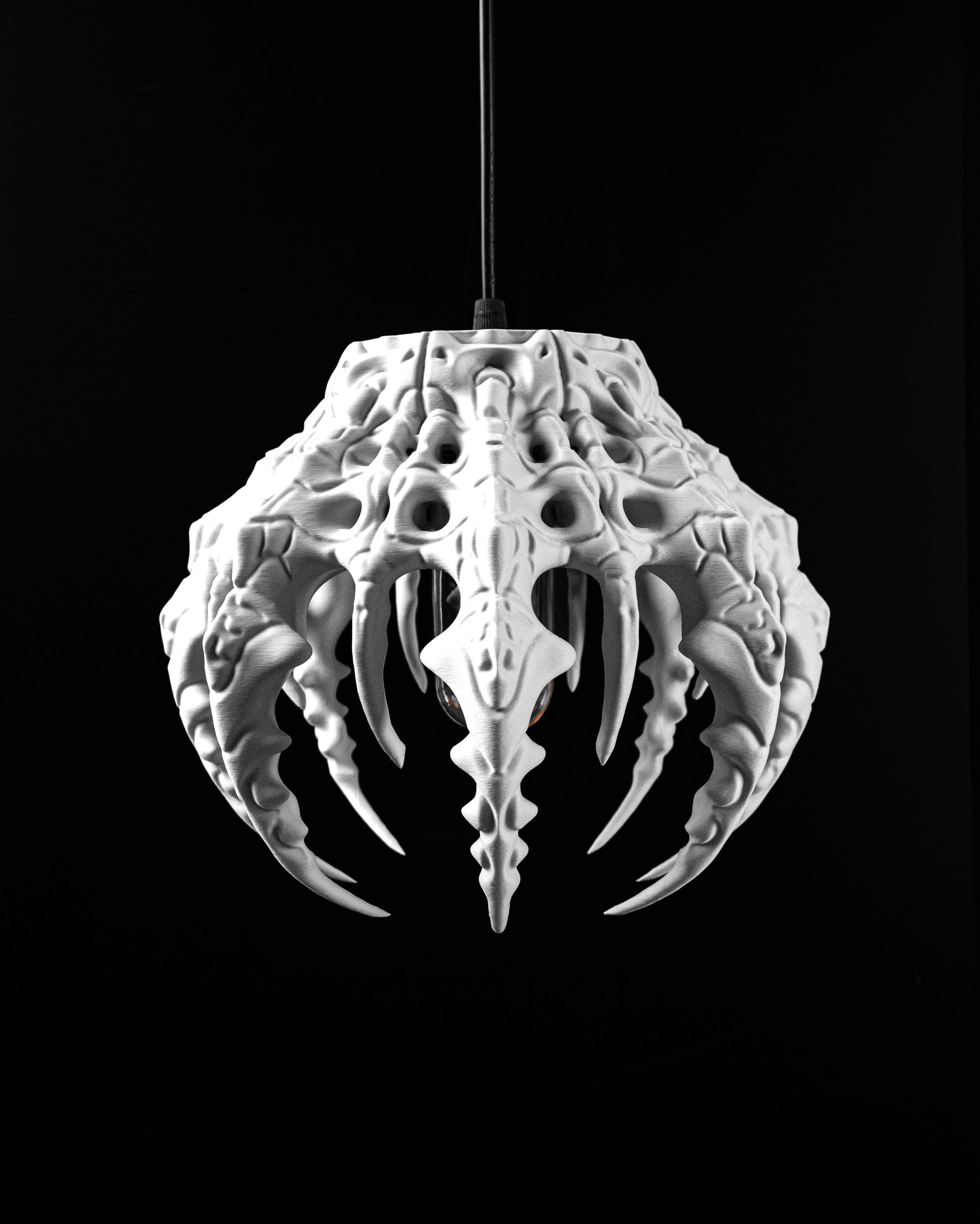 Závesná lampa Skeletal