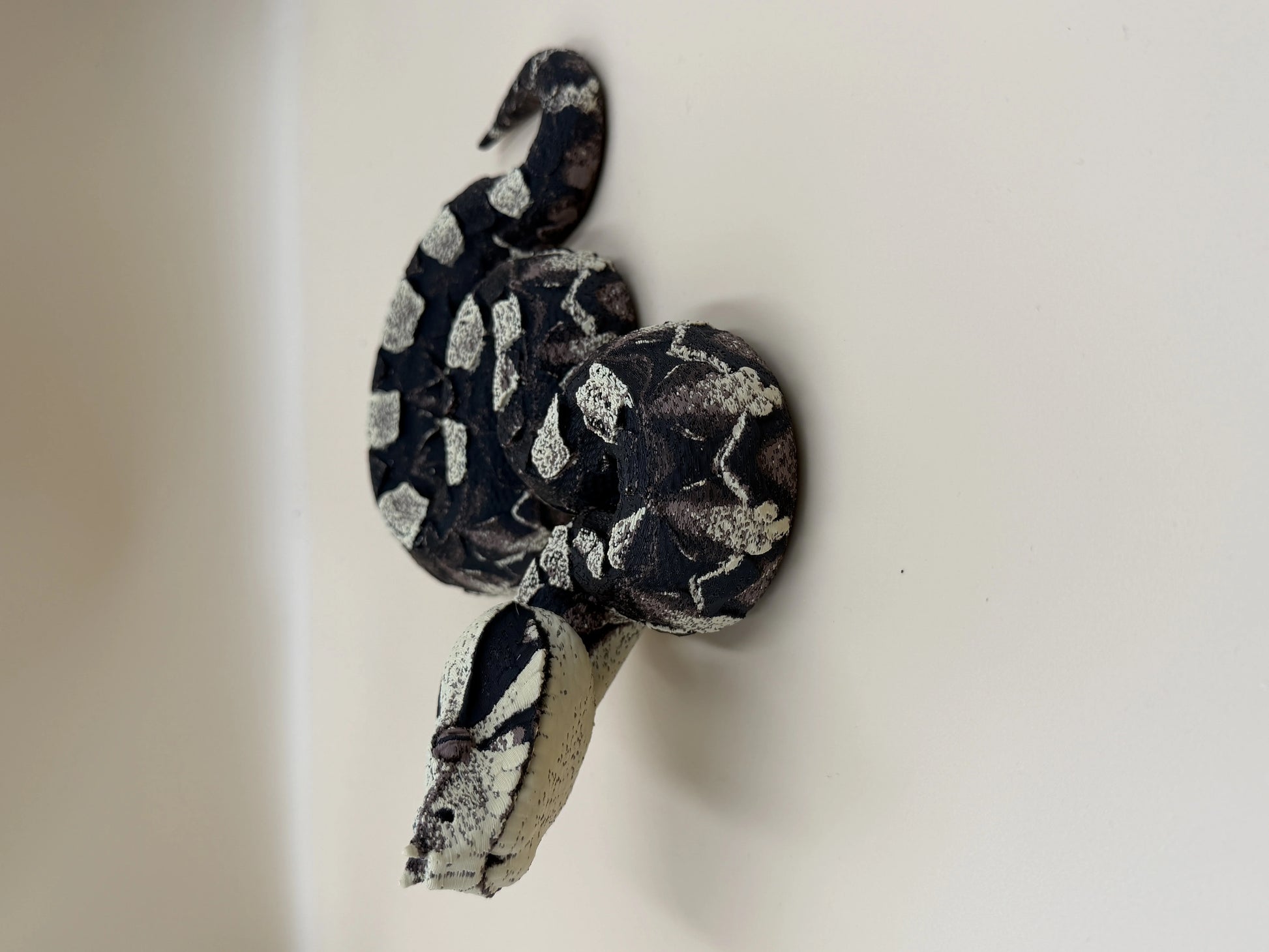 Midnight Ambush – Gaboon Viper