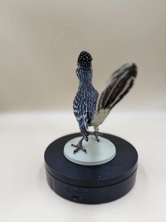 Roadrunner – púštny bežec