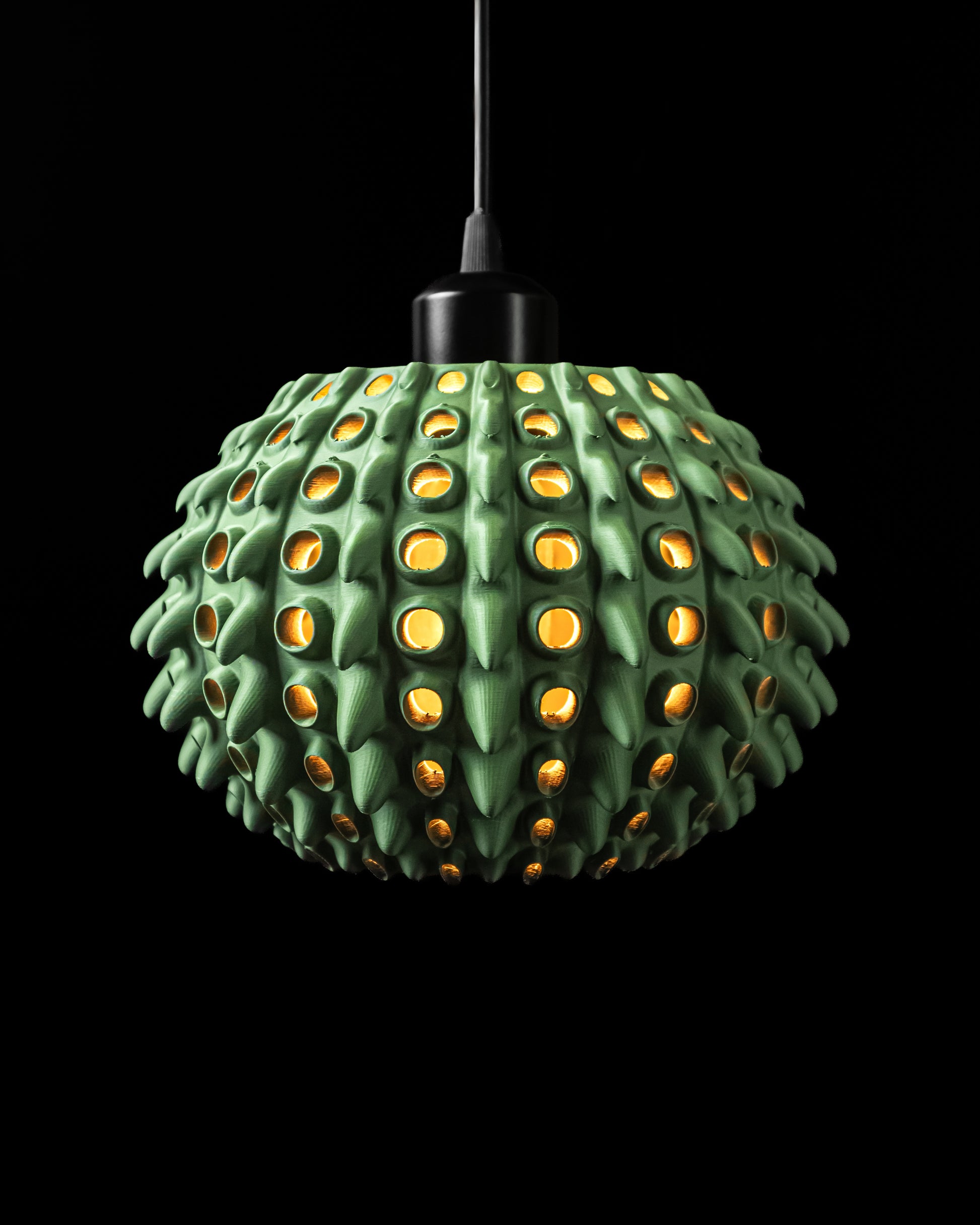 Závesná lampa Barnacle