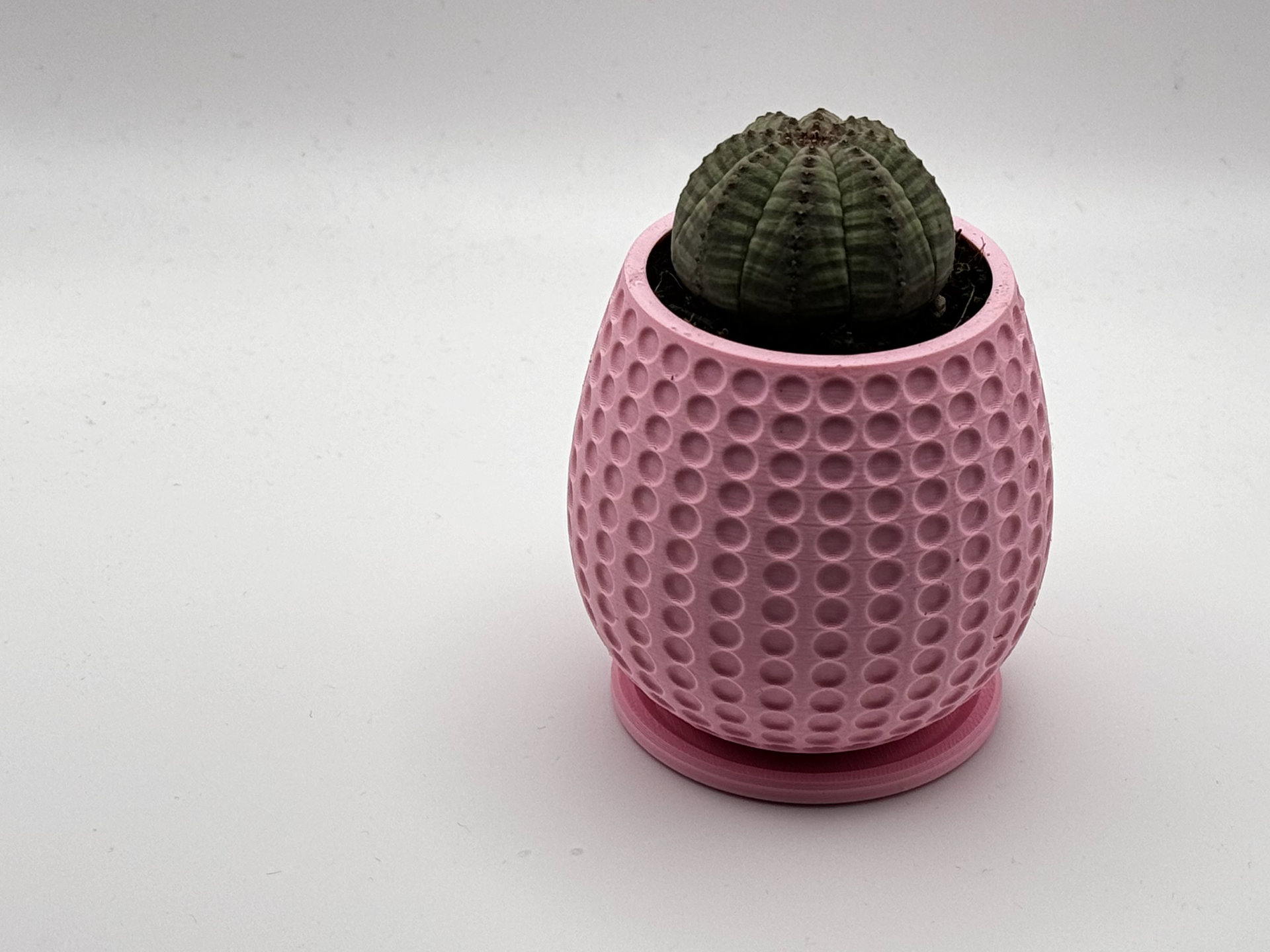 planter - concave circles