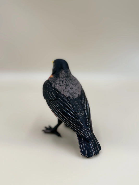Red Robin – americký drozd