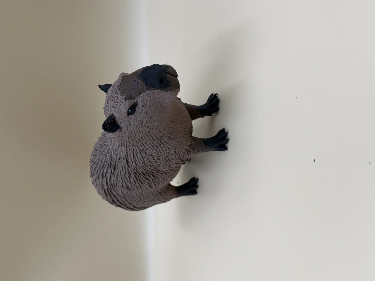 Chillin’ Capybara – World’s Most Relaxed Rodent