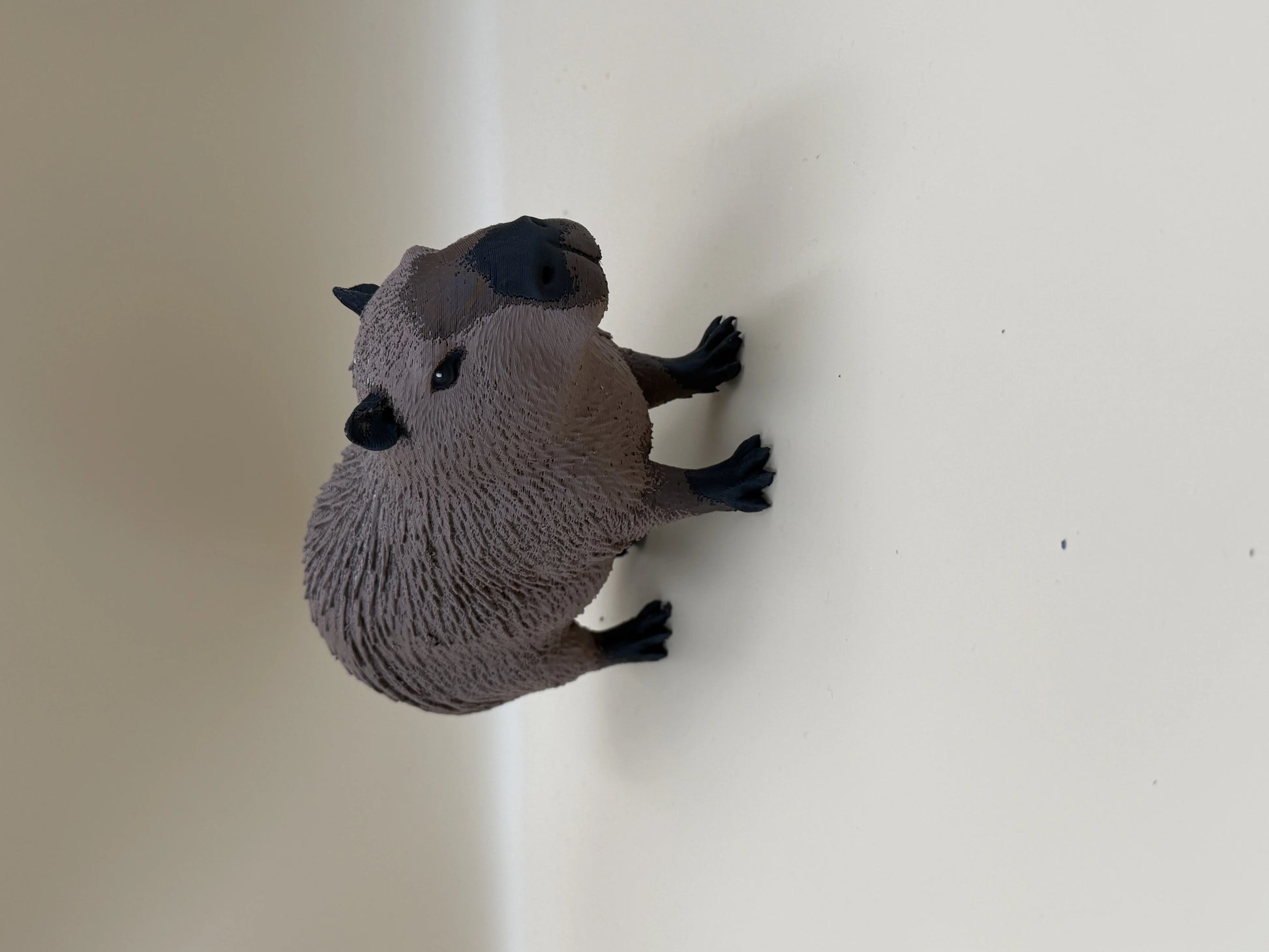 Chillin’ Capybara – World’s Most Relaxed Rodent