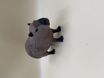 Chillin’ Capybara – World’s Most Relaxed Rodent