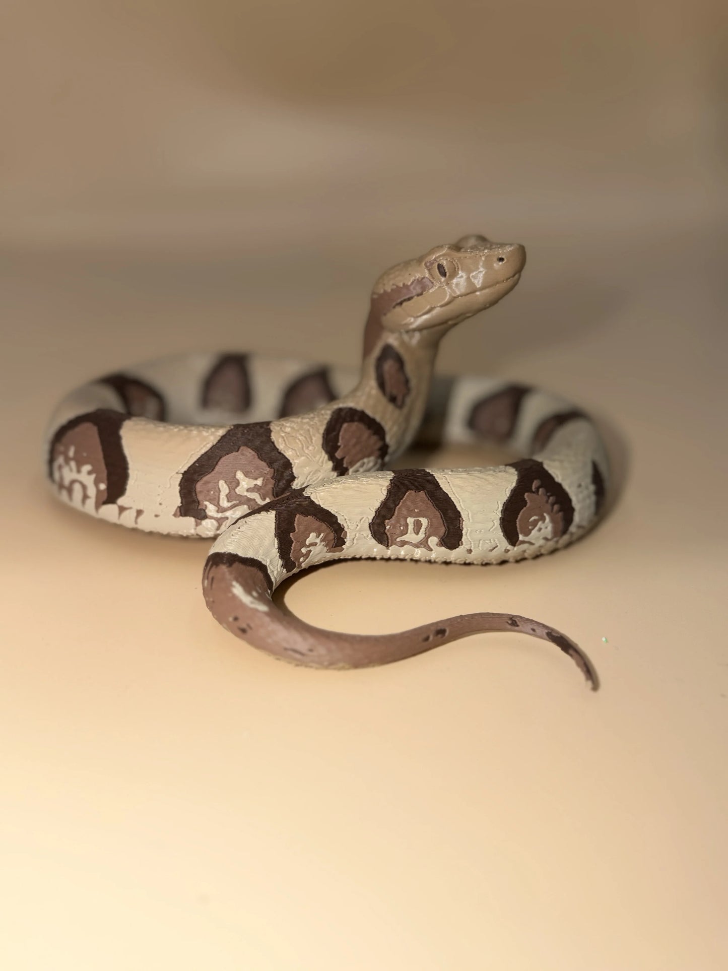 Copperhead Snake