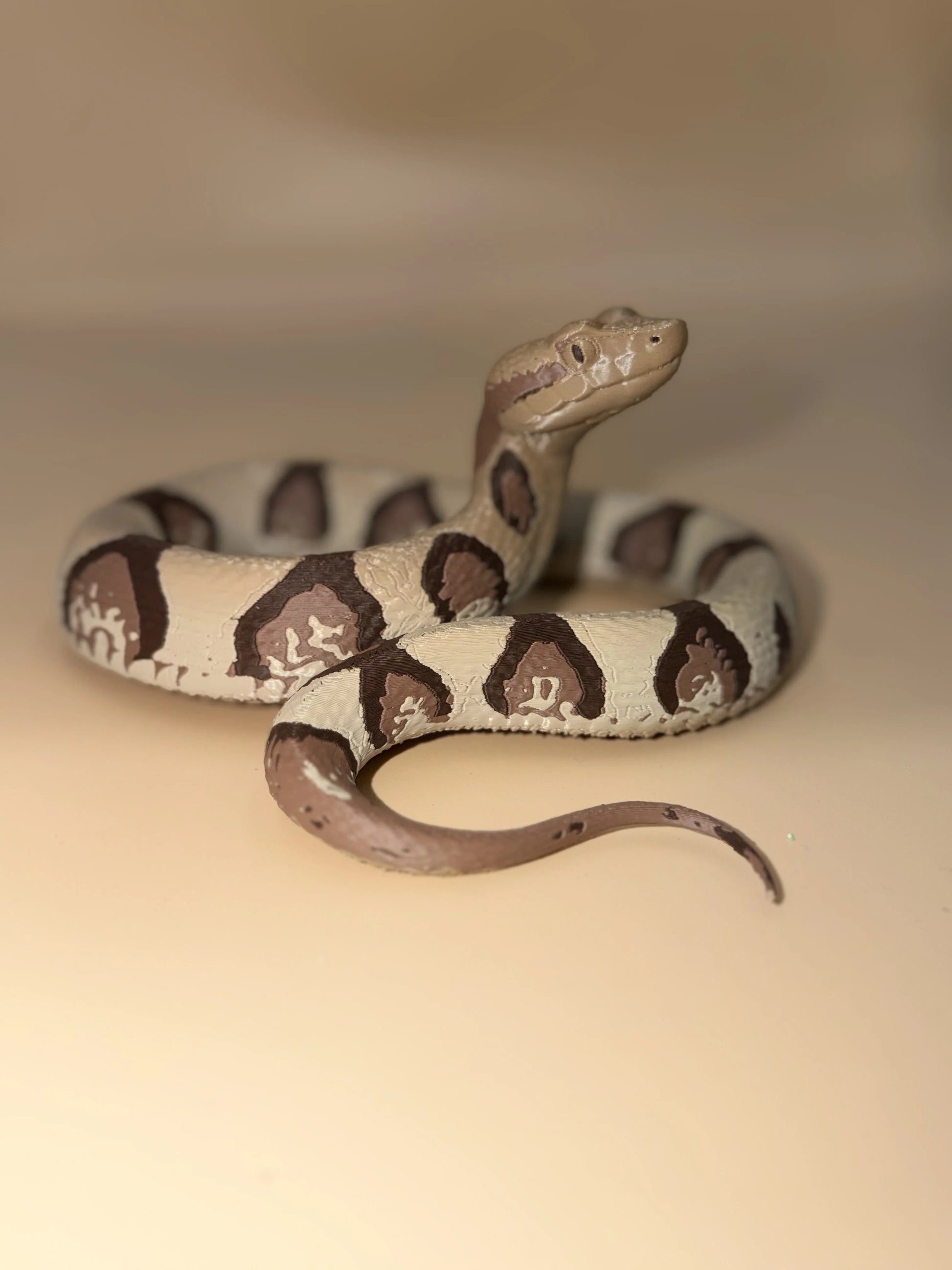 Copperhead Snake
