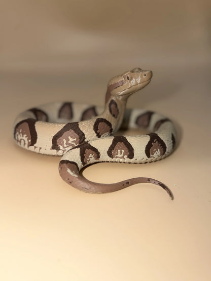 Copperhead Snake