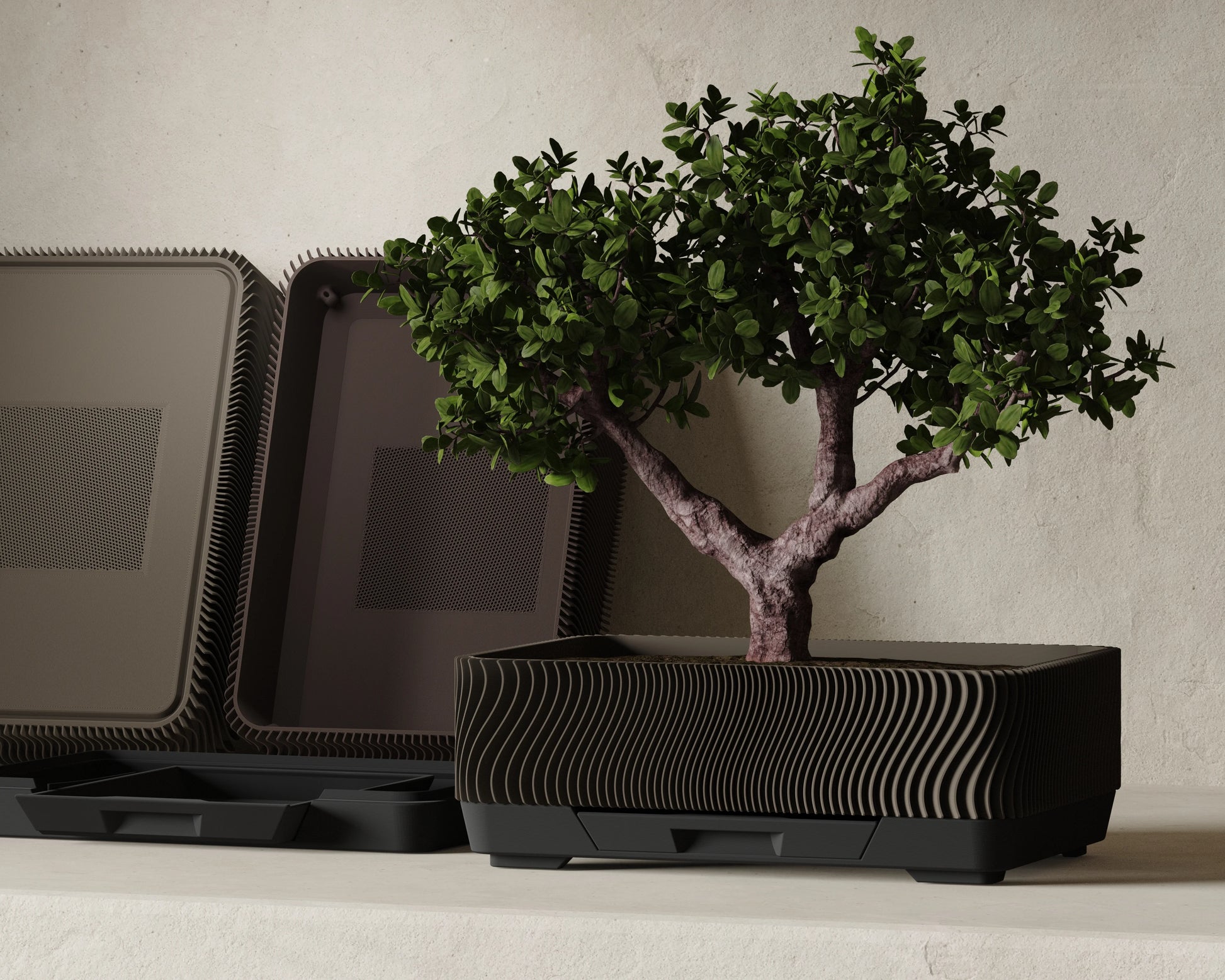 Bonsai Wave – Japandi miska na bonsaj s podnosom