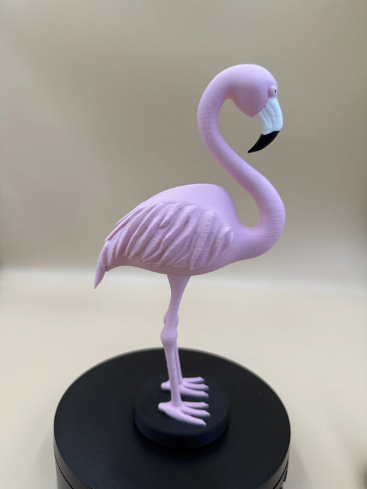 Plamienok Flamingo