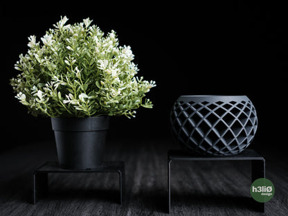 evolve • planter