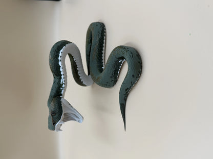 Viper Snake