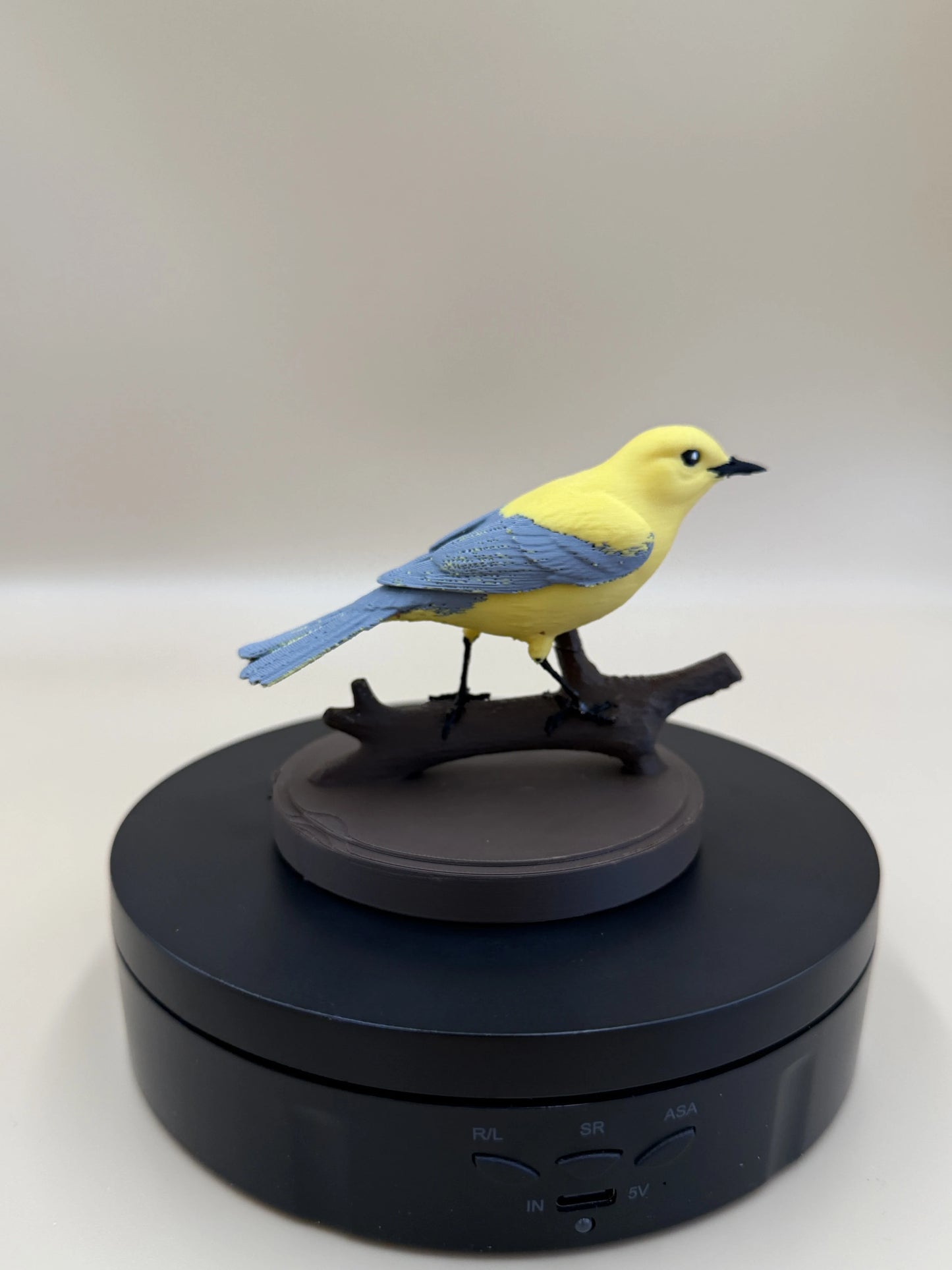 Sunlit Golden Warbler – spevavý vtáčik na konári