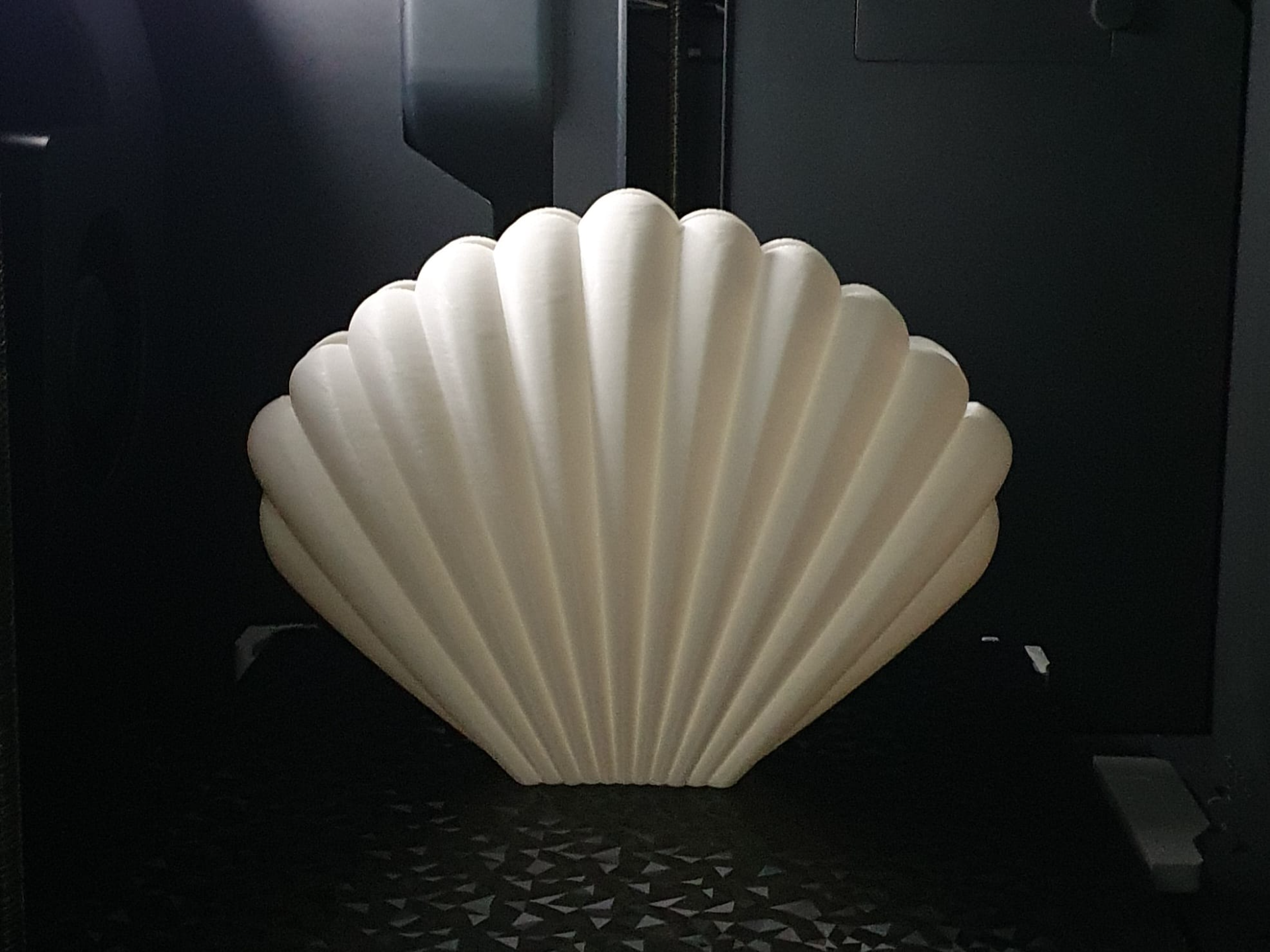 Mušľová váza Sea Shell