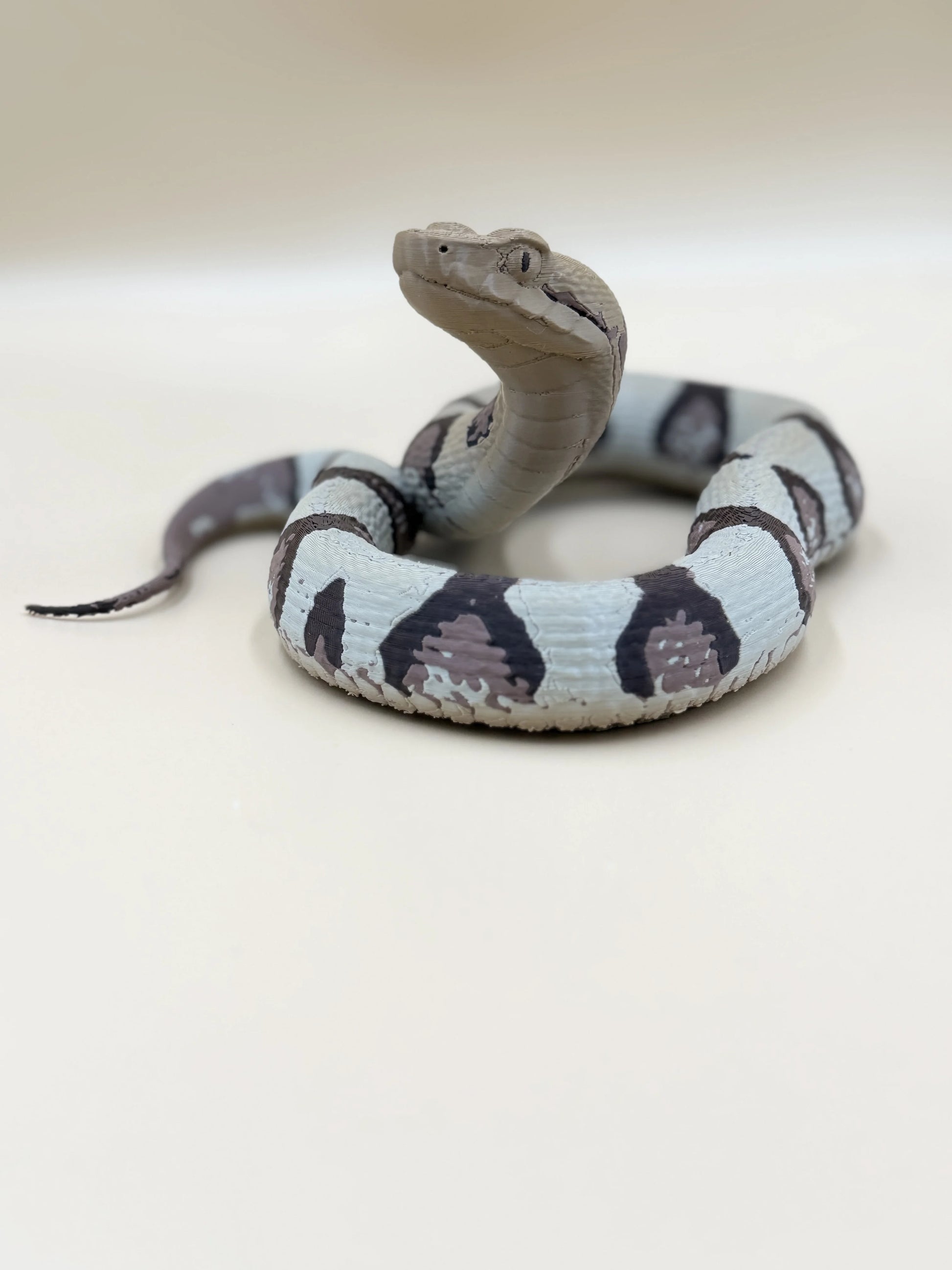 Copperhead Snake