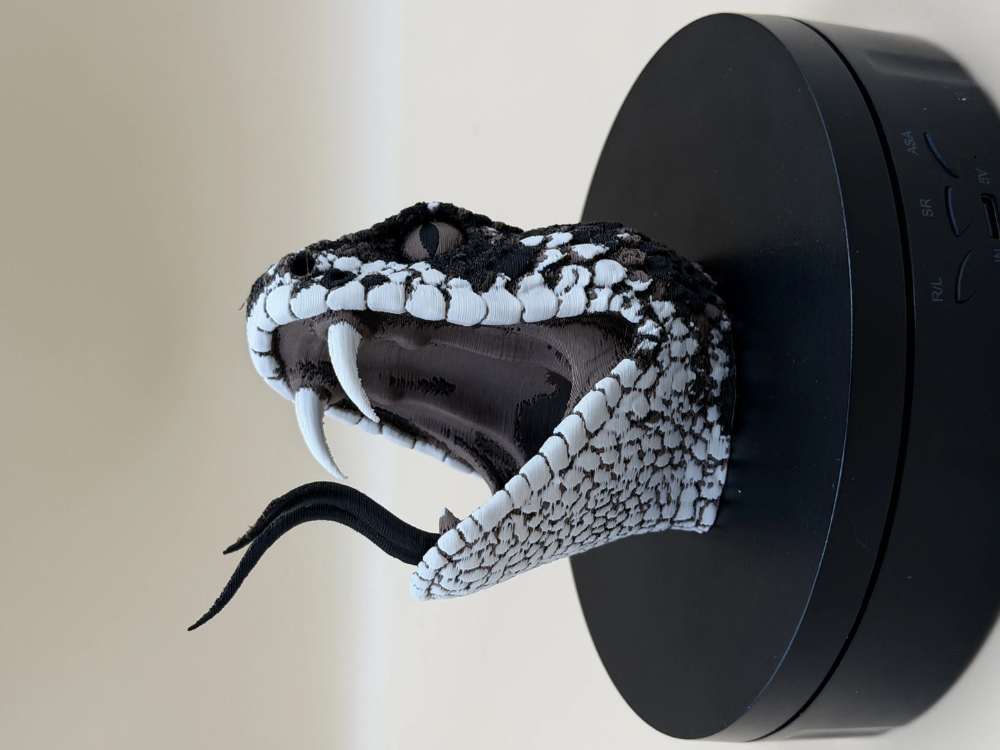 Diamondback Rattlesnake Head – Open Strike