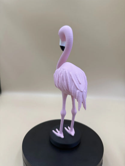 Plamienok Flamingo