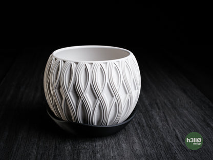 velar • planter