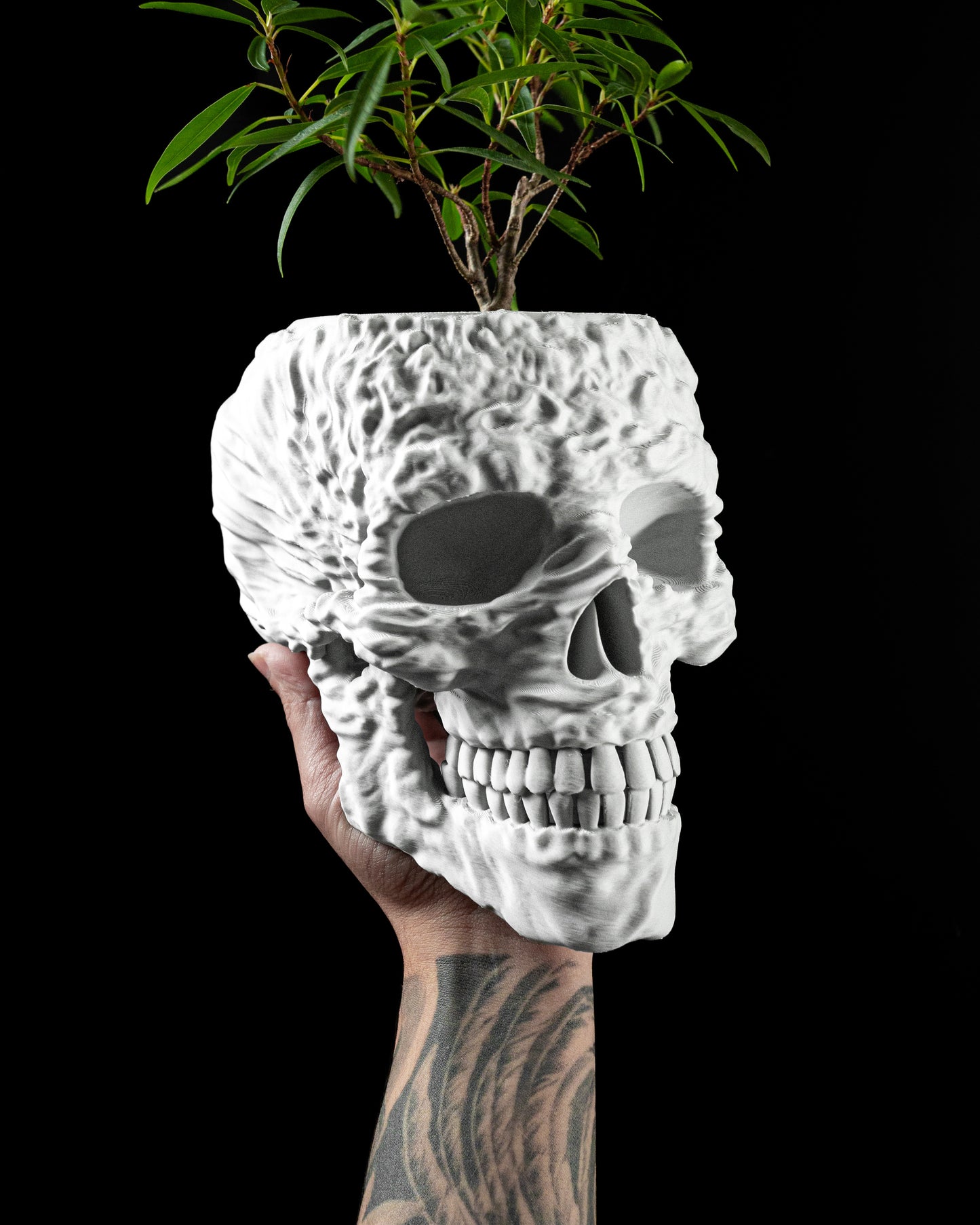 Kvetináč Skull
