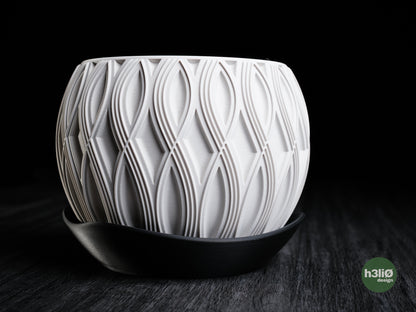 velar • planter