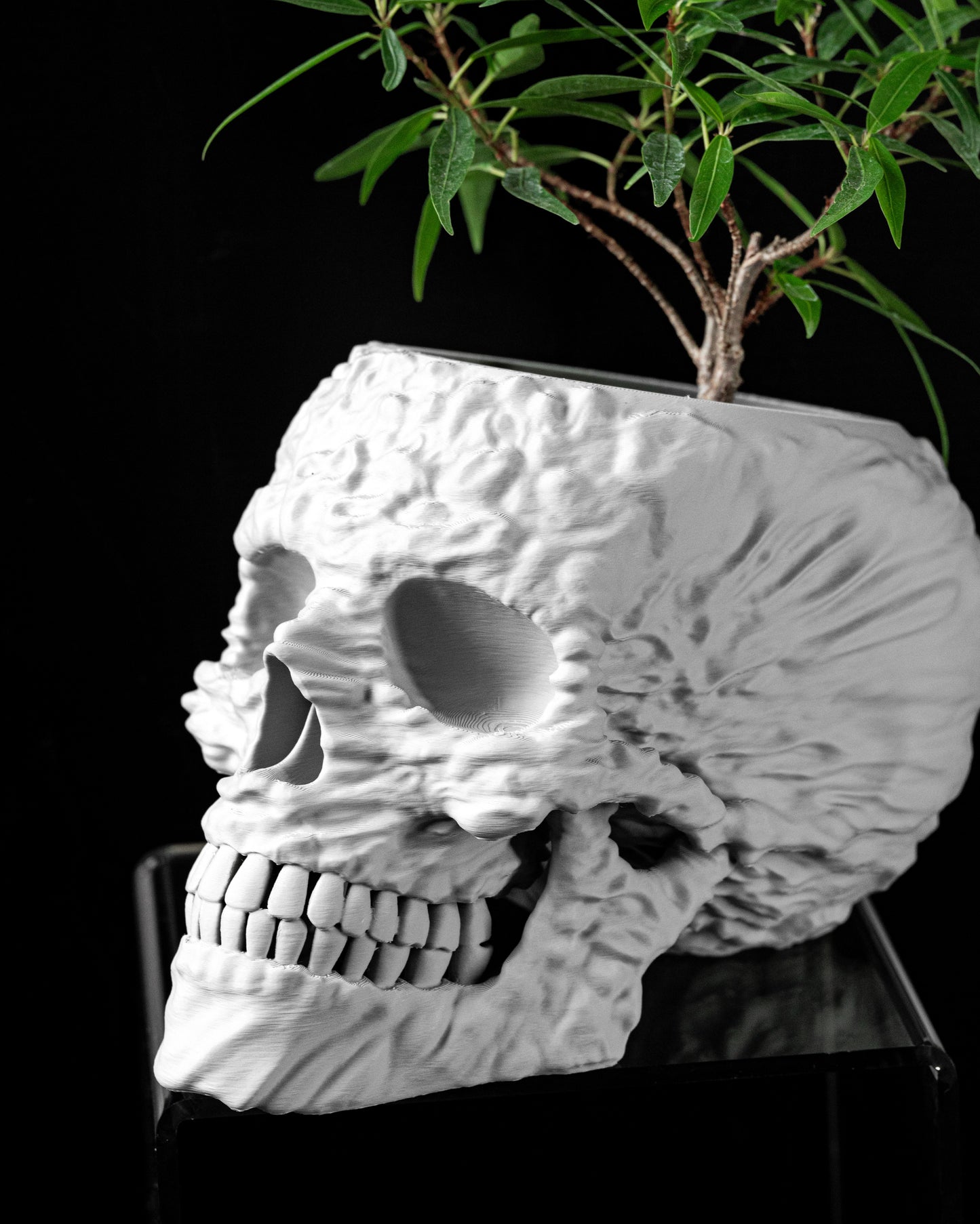 Kvetináč Skull
