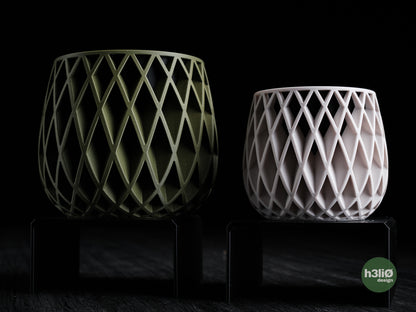 beja • planters