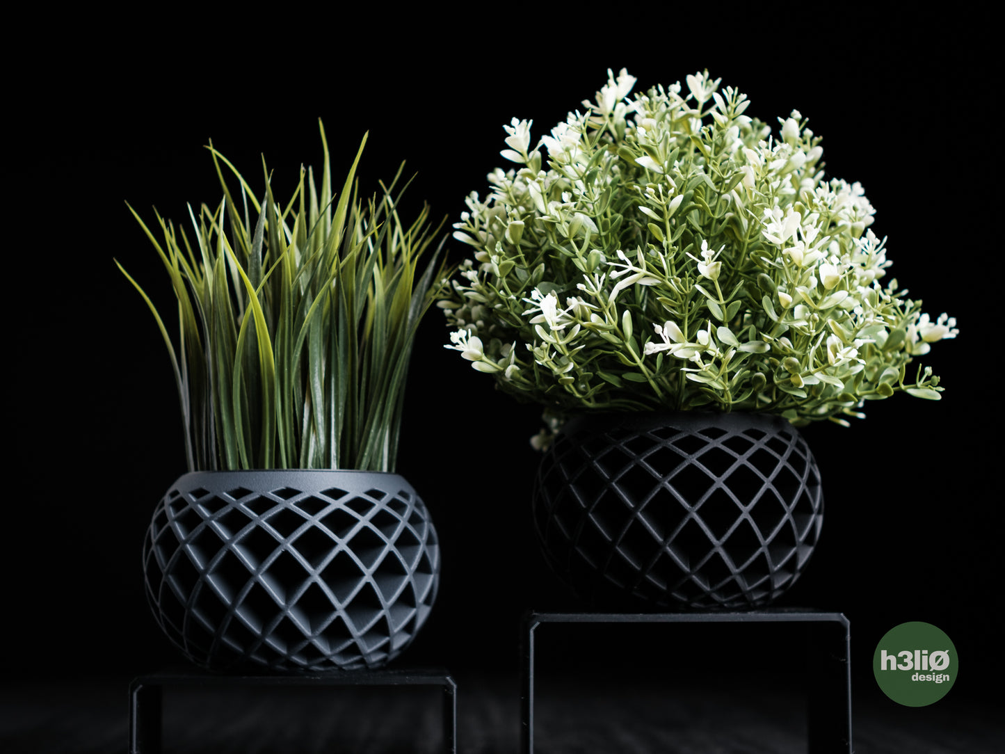 evolve • planter