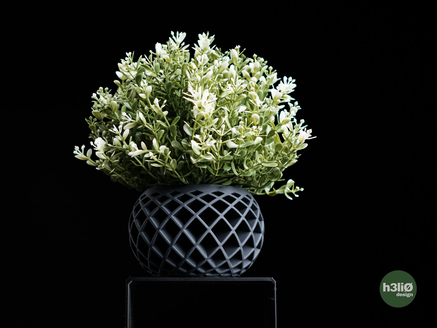 evolve • planter