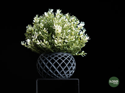 evolve • planter