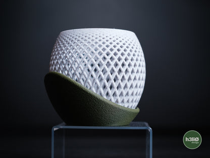 polygon · orchid planter