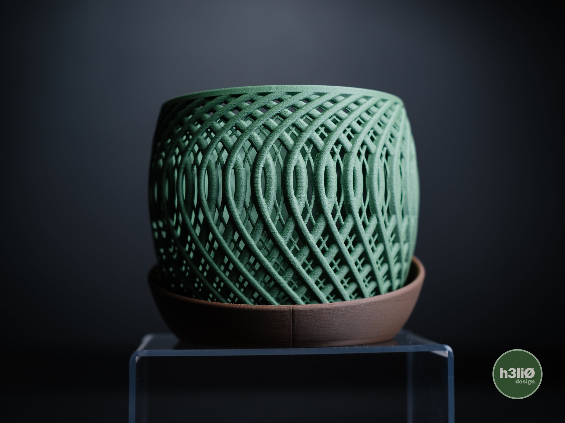 quasar · orchid planter