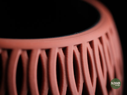 briosi • planter