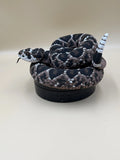 Chrastiač diamantový (Crotalus atrox)