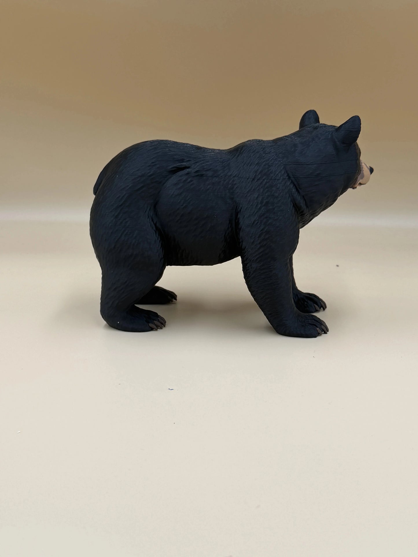 Shadow of the Forest – Black Bear