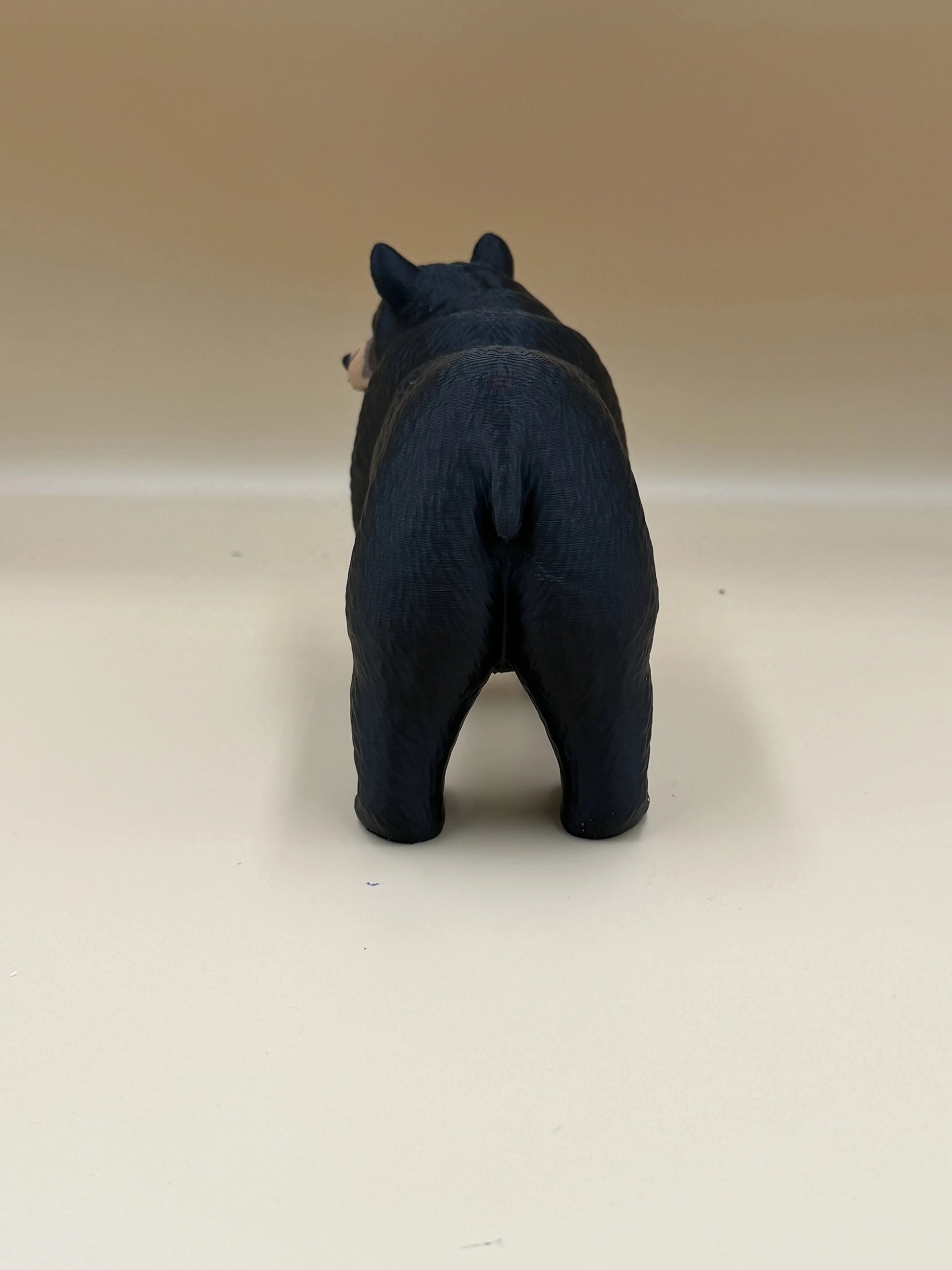 Shadow of the Forest – Black Bear