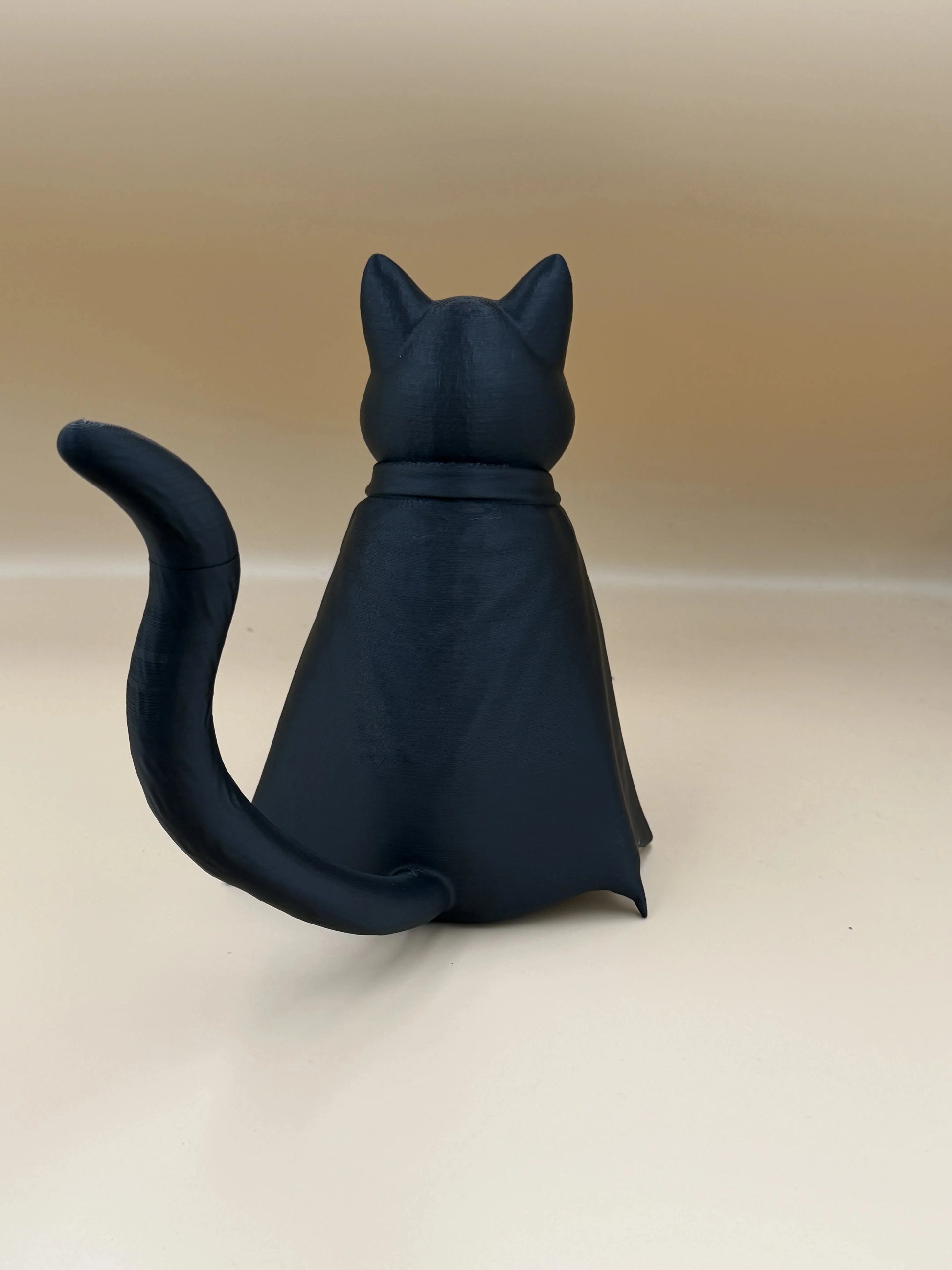 Luna’s Guardian Cat