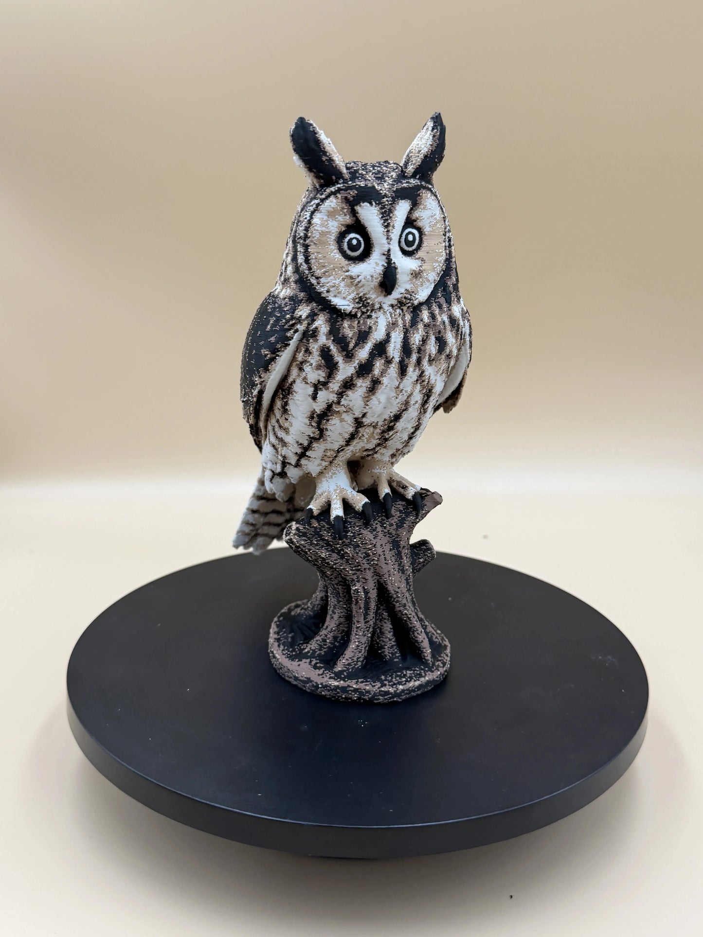 Twilight Sentinel – Long-Eared Owl