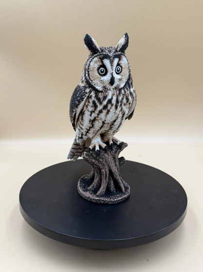 Twilight Sentinel – Long-Eared Owl