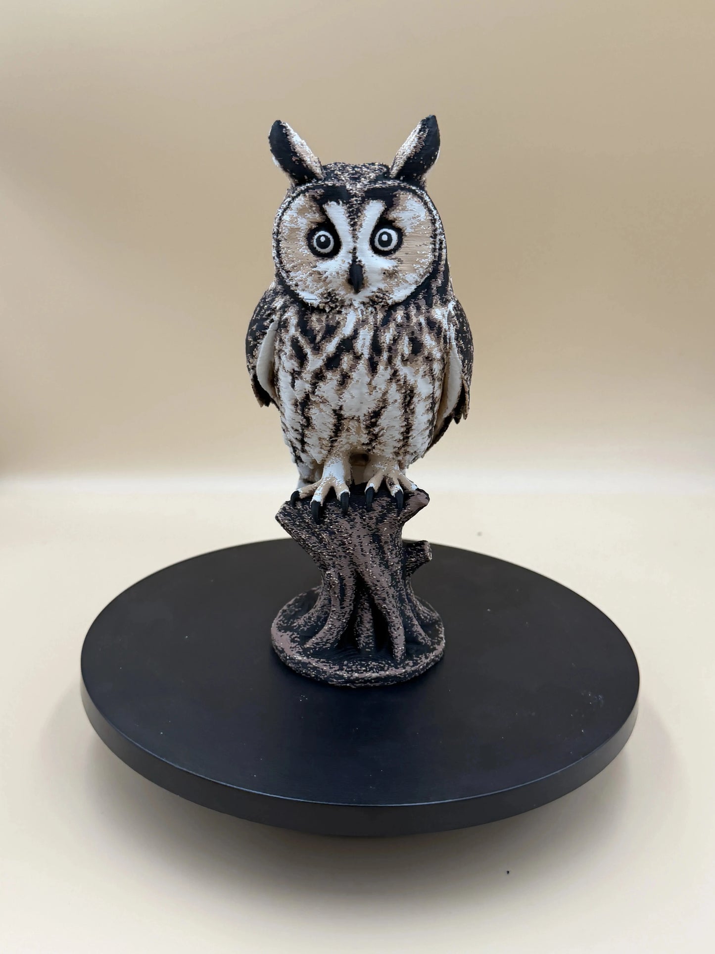 Twilight Sentinel – Long-Eared Owl