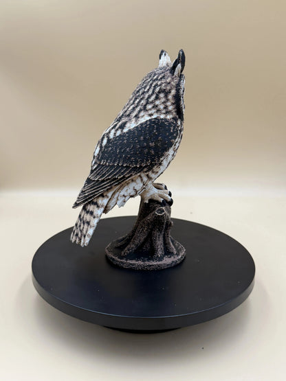 Twilight Sentinel – Long-Eared Owl