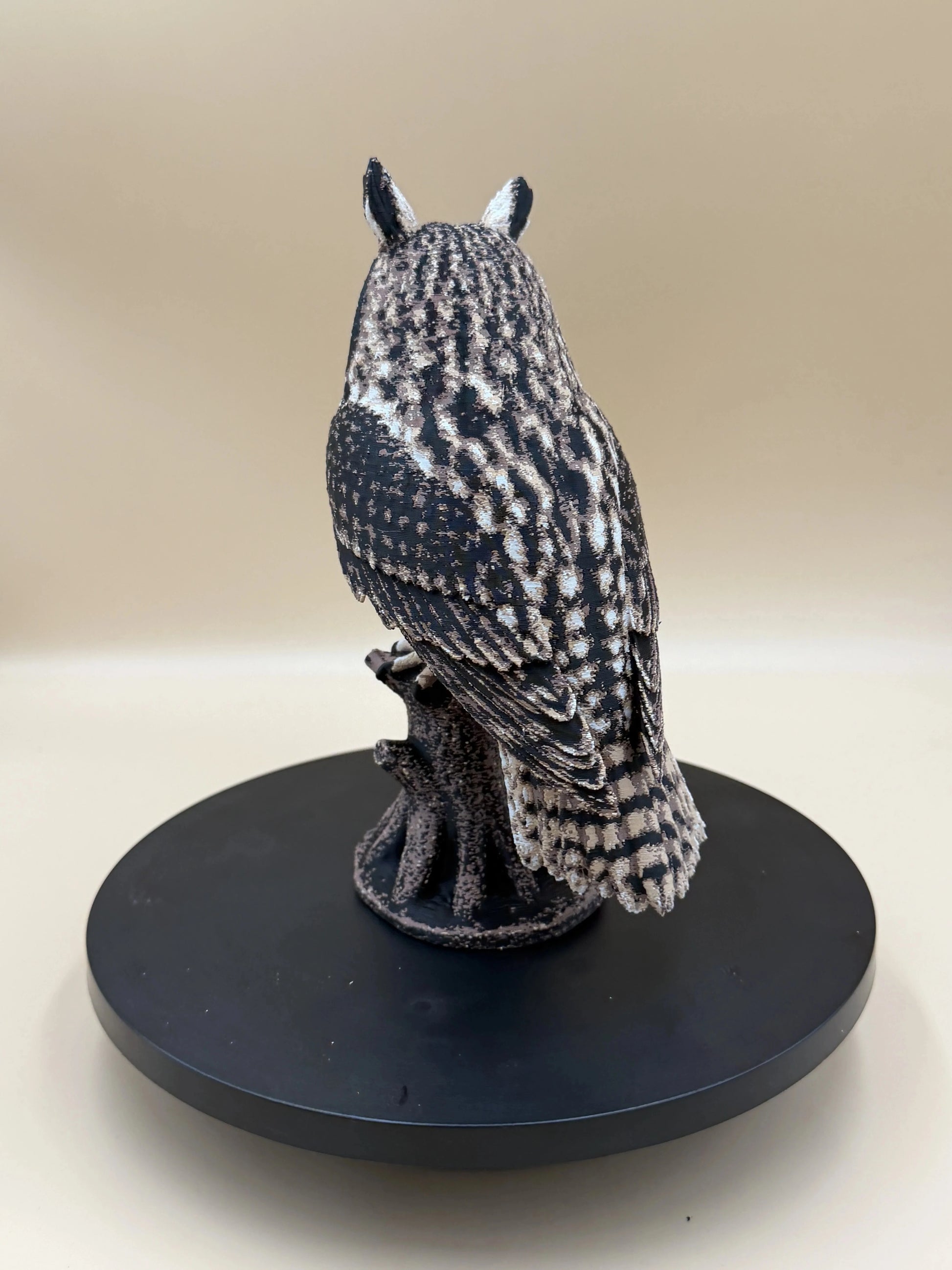Twilight Sentinel – Long-Eared Owl