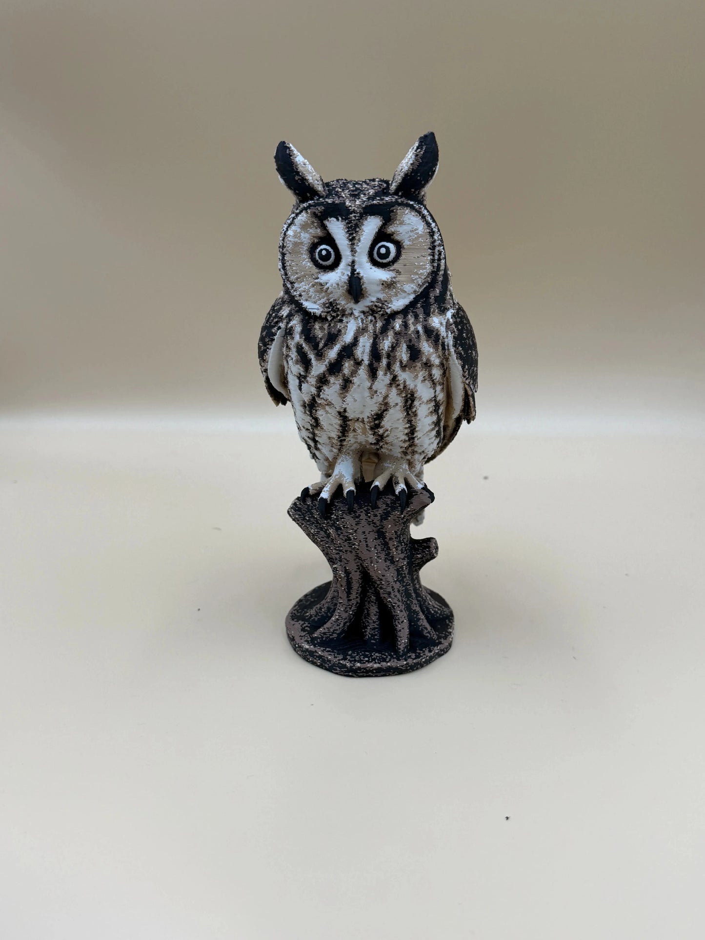 Twilight Sentinel – Long-Eared Owl