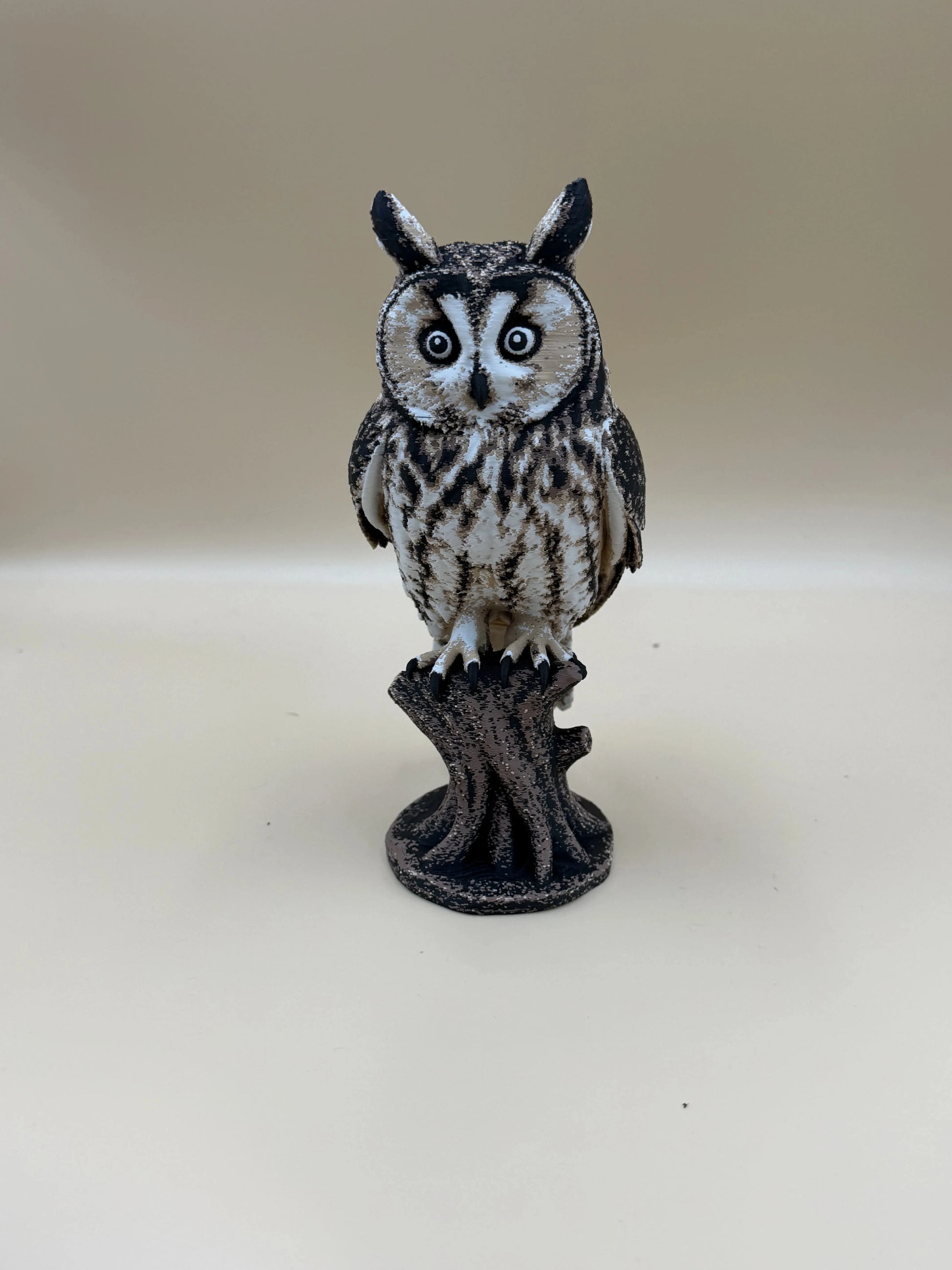 Twilight Sentinel – Long-Eared Owl